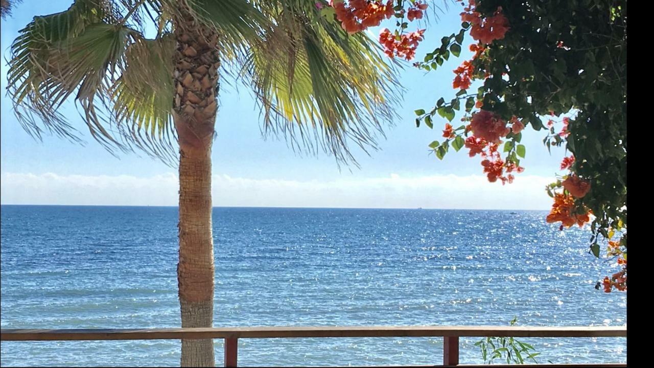 Mi Capricho 170 Beachfront Apartment Sitio de Calahonda Kültér fotó